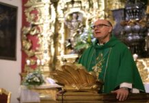 «Todos podemos ser tierra fértil para que la semilla de Cristo dé frutos en nosotros», resalta homilía dominical