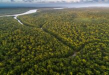 El BID y el Banco Mundial se unen para proteger el Amazonas y hacer resiliente al Caribe