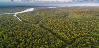 El BID y el Banco Mundial se unen para proteger el Amazonas y hacer resiliente al Caribe