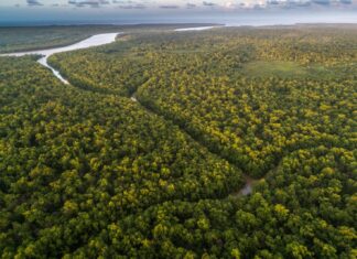 El BID y el Banco Mundial se unen para proteger el Amazonas y hacer resiliente al Caribe