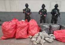 Policía Militar decomisa fuerte cantidad de droga en Cerro de Hula, Francisco Morazán