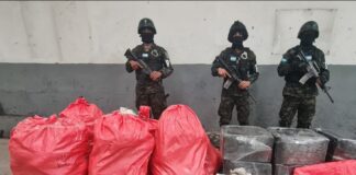 Policía Militar decomisa fuerte cantidad de droga en Cerro de Hula, Francisco Morazán