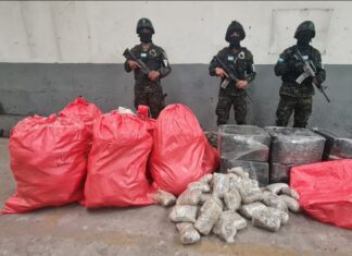 Policía Militar decomisa fuerte cantidad de droga en Cerro de Hula, Francisco Morazán