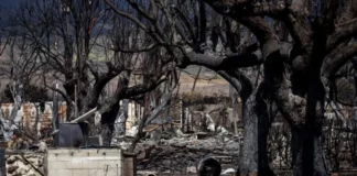 Autoridades elevan a 106 el número de fallecidos en los incendios en Hawái