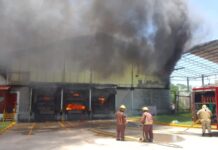 Pérdidas millonarias deja un incendio de grandes proporciones en una reconocida fábrica de cartones en Potrerillos, Cortés