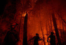 La crisis climática ha convertido los bosques de Canadá en un infierno