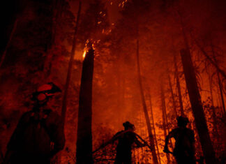 La crisis climática ha convertido los bosques de Canadá en un infierno