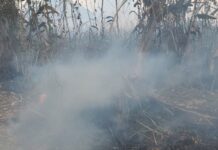 Dirigentes de FUCSA informan que incendios forestales arrasan con más de 120 hectáreas de bosque en el Refugio de Vida Silvestre Cuero y Salado