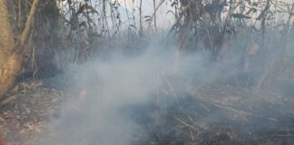 Dirigentes de FUCSA informan que incendios forestales arrasan con más de 120 hectáreas de bosque en el Refugio de Vida Silvestre Cuero y Salado