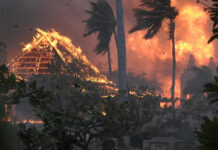 EE.UU. declara la situación de desastre en Hawái por los incendios