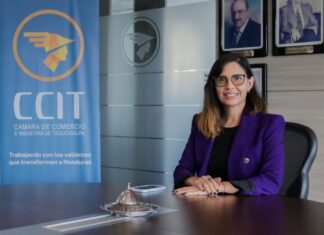 Si el Presupuesto General del 2024 será alto, que también lo sea en desarrollo y ejecución, pide directora de la CCIT