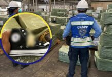 Incautan nuevo cargamento de imitaciones de calzado valorado en 15 millones de lempiras