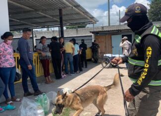 Agentes de la DLCN se unen en la inspección a visitantes de reclusos en cárceles del país