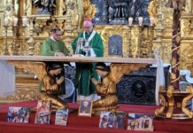 Iglesia Católica pide no confiar en la tecnología las decisiones de nuestras vidas