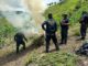 La Policía Nacional, a través de la DNPA, incineran dos plantaciones de marihuana en el departamento de Colón