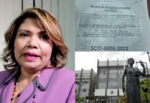 La CSJ rechaza los recursos de inconstitucionalidad presentados por la ex jueza Karla Romero
