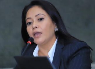 Diputada Merary Díaz señala que la democracia corre peligro con un fiscal a la medida de los intereses de “Mel y Xiomara»