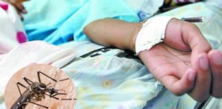 Honduras contabiliza 11 muertes por dengue y 18.532 enfermos en lo que va de 2023