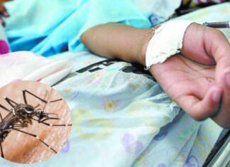 Honduras contabiliza 11 muertes por dengue y 18.532 enfermos en lo que va de 2023