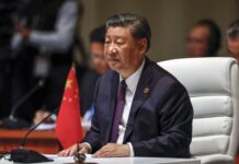 Xi Jinping pide a los BRICS más «cooperación política y de seguridad» en un mundo de turbulencias