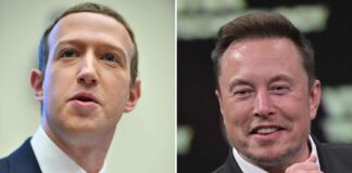 Elon Musk dice que su pelea contra Zuckerberg se retransmitirá en Twitter