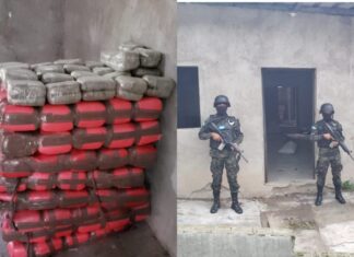 La PMOP decomisa 600 libras de marihuana dentro de una vivienda usada como bodega en la capital