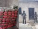 La PMOP decomisa 600 libras de marihuana dentro de una vivienda usada como bodega en la capital