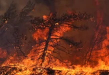 El MP investiga si hubo mano criminal en monumental incendio de La Tigra