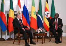 Putin y Ramaphosa debaten los preparativos de la cumbre de los BRICS en Sudáfrica