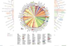 Crean un «reloj» universal capaz de estimar la edad en todos los mamíferos