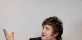 El FMI y Javier Milei mantienen reunión para intercambiar posturas sobre la economía Argentina