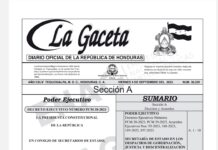 Publican en La Gaceta el Decreto Ejecutivo que contiene el proyecto del Presupuesto General de la República, pero que aún no ha sido discutido