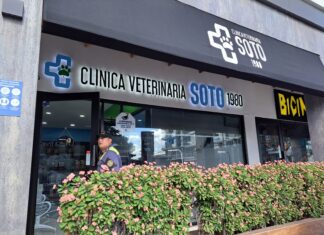 LA AMDC actúa de oficio contra veterinaria acusada de maltrato animal