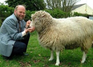 Muere a los 79 años Ian Wilmut, «padre» de la oveja Dolly