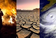 Un estudio reclama que el 30% de las noticias de los medios debería ser sobre la crisis climática