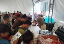 Rescatan a 10 hondureños en México y otro está grave al caer del tren “La Bestia”