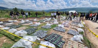 Honduras sigue en la lista de países productores y tránsito de drogas