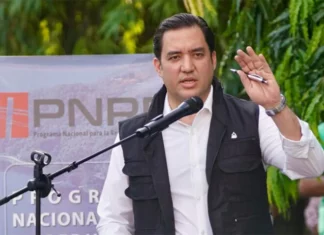Secretario privado dice que la consulta popular es abrir canales de participación para la población hondureña