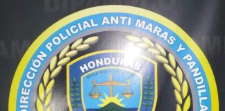 DIPAMPCO captura a sujeto que amenazó y atentó contra el conductor de un bus rapidito en SPS