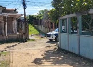 ¡Nueva masacre en Honduras! Cinco personas son asesinadas en Baracoa, Cortés