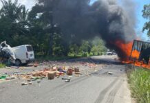 Accidente vial entre rastra y microbús deja una persona muerta en El Porvenir, Atlántida