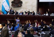 Diputado de Libre propone que la elección del Fiscal General se pueda definir “vía moneda al aire”