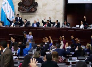 Diputado de Libre propone que la elección del Fiscal General se pueda definir “vía moneda al aire”