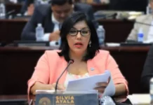 Silvia Ayala: “Es muy difícil poder llegar a consensos cuando se tiene temor a las investigaciones”