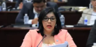 Silvia Ayala: “Es muy difícil poder llegar a consensos cuando se tiene temor a las investigaciones”