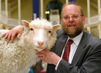 Muere a los 79 años Ian Wilmut, «padre» de la oveja Dolly