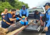 Trágico accidente vial deja un muerto y cinco heridos en carretera de Copán