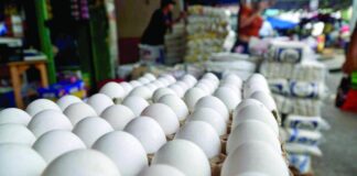 Consumidores se muestran preocupados ante el aumento en el precio de los huevos