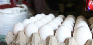Preocupación en la población ante nuevo aumento en el precio de los huevos
