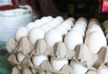 Vendedores de mercados reportan un incremento de cinco lempiras al cartón de huevos